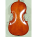 Viola 17” (43,5 cm) Genial 1 (scoala)